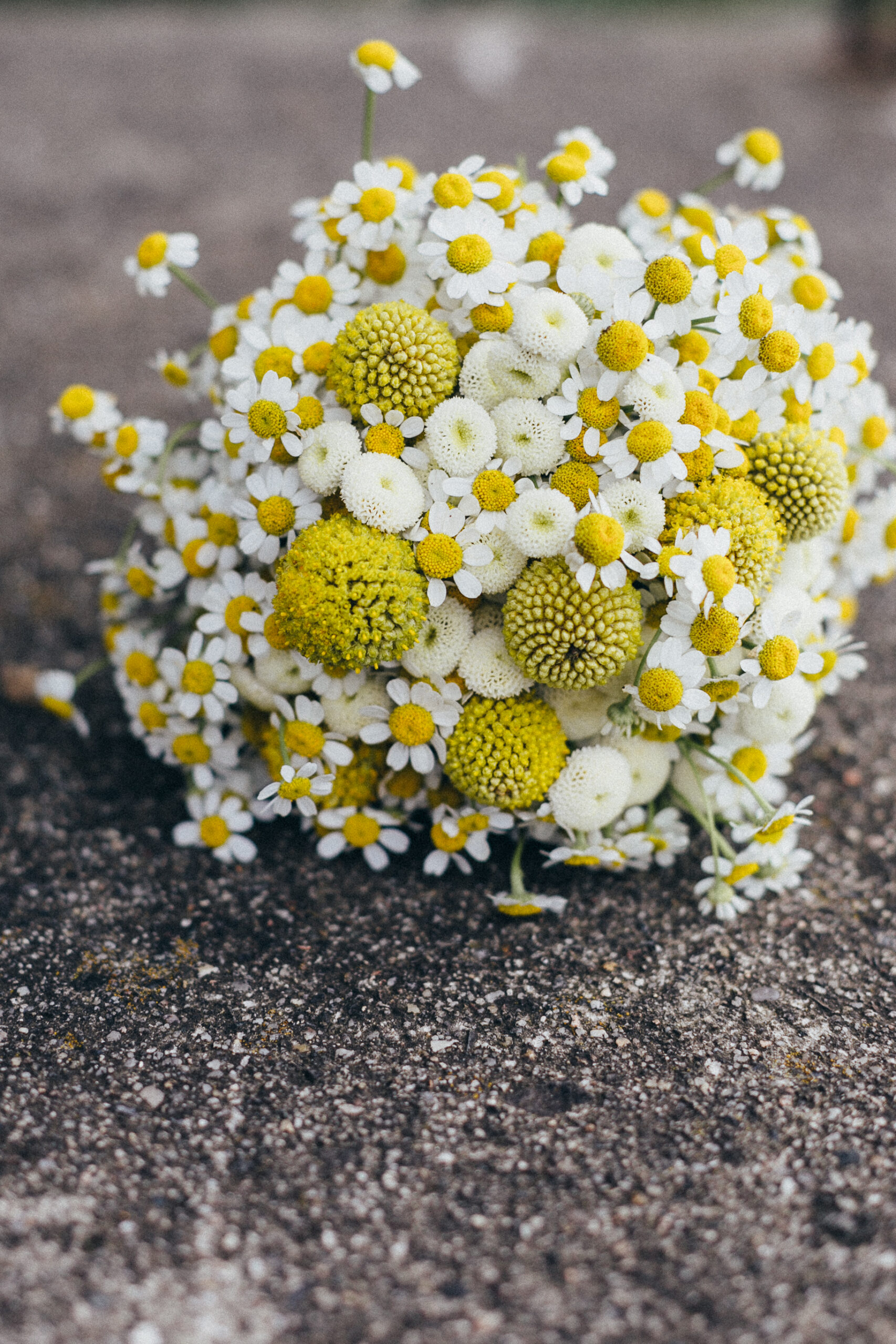 natürlicher Blumenstrauß in weiß und gelb mit Kamille und Trommelschlägeln