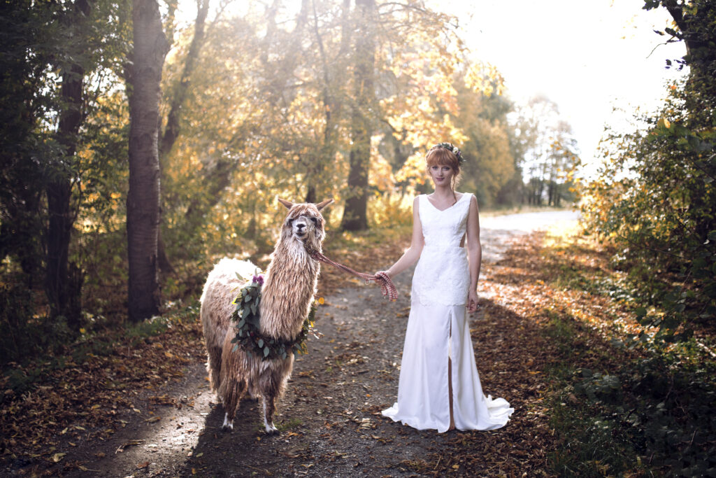 Brautkleid mit tiefem Rückenausschnitt im Boho-Stil, Alpaka mit Kranz aus Eukalyptus